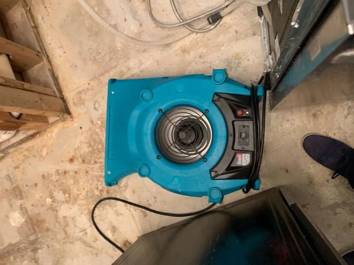 Air mover drying equipment for Mold Remediation & Removal in Orinda